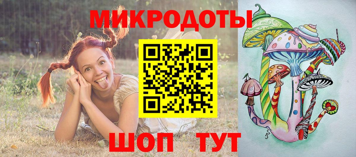 Галлюциногенные грибы Psilocybine cubensis Назарово